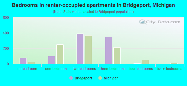Bedrooms in renter-occupied apartments in Bridgeport, Michigan