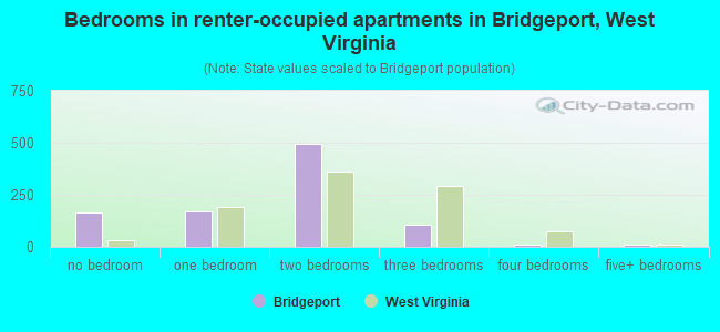 Bedrooms in renter-occupied apartments in Bridgeport, West Virginia