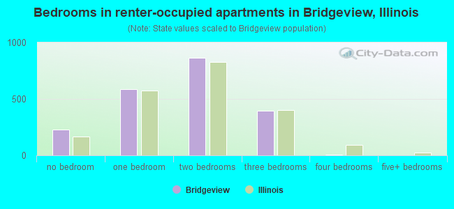 Bedrooms in renter-occupied apartments in Bridgeview, Illinois