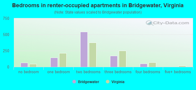 Bedrooms in renter-occupied apartments in Bridgewater, Virginia