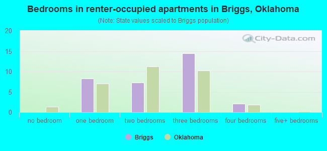 Bedrooms in renter-occupied apartments in Briggs, Oklahoma