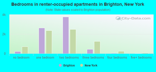 Bedrooms in renter-occupied apartments in Brighton, New York