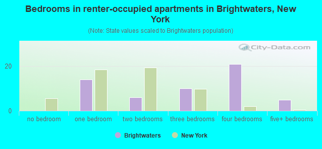 Bedrooms in renter-occupied apartments in Brightwaters, New York