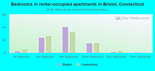 Bedrooms in renter-occupied apartments in Bristol, Connecticut