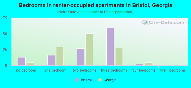 Bedrooms in renter-occupied apartments in Bristol, Georgia