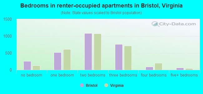 Bedrooms in renter-occupied apartments in Bristol, Virginia