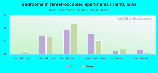 Bedrooms in renter-occupied apartments in Britt, Iowa