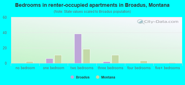 Bedrooms in renter-occupied apartments in Broadus, Montana