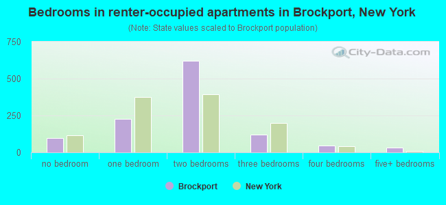 Bedrooms in renter-occupied apartments in Brockport, New York