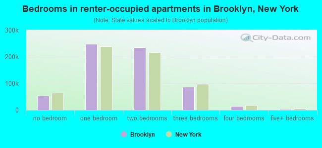 Bedrooms in renter-occupied apartments in Brooklyn, New York