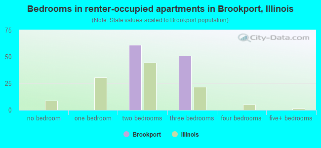 Bedrooms in renter-occupied apartments in Brookport, Illinois