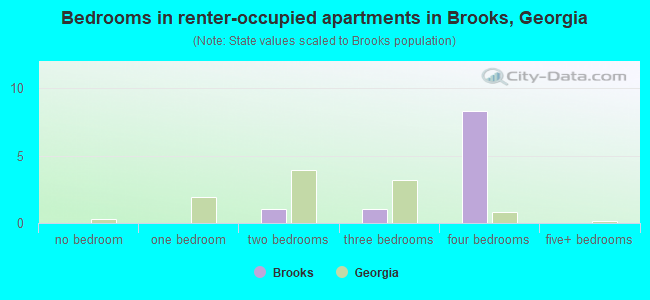 Bedrooms in renter-occupied apartments in Brooks, Georgia