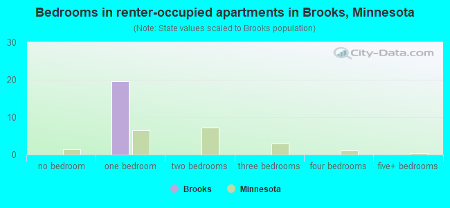Bedrooms in renter-occupied apartments in Brooks, Minnesota