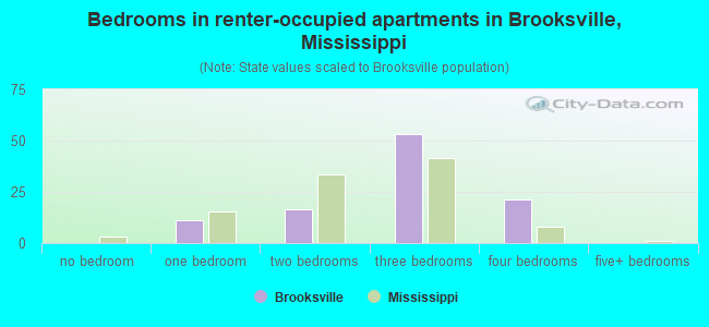 Bedrooms in renter-occupied apartments in Brooksville, Mississippi