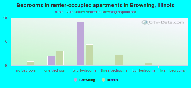 Bedrooms in renter-occupied apartments in Browning, Illinois