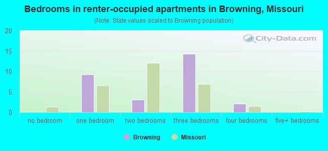 Bedrooms in renter-occupied apartments in Browning, Missouri