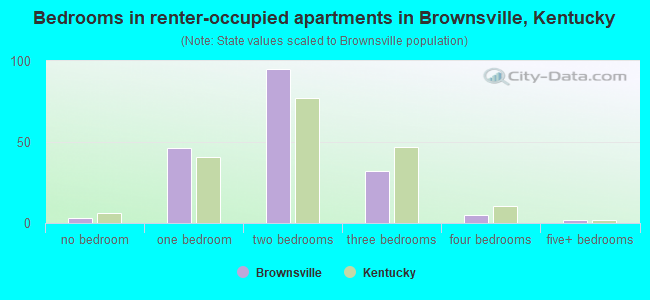 Bedrooms in renter-occupied apartments in Brownsville, Kentucky