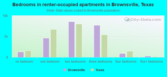 Bedrooms in renter-occupied apartments in Brownsville, Texas