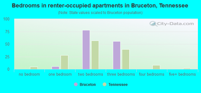 Bedrooms in renter-occupied apartments in Bruceton, Tennessee