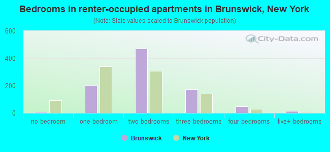 Bedrooms in renter-occupied apartments in Brunswick, New York