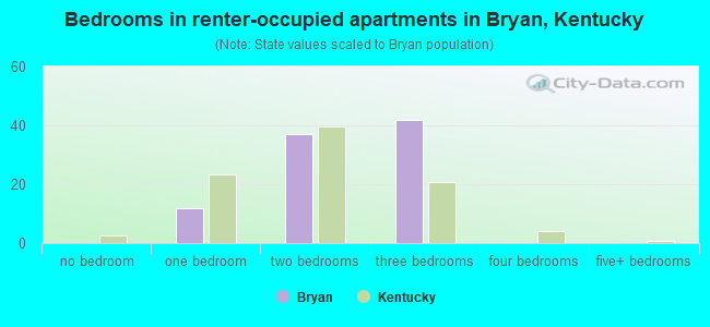 Bedrooms in renter-occupied apartments in Bryan, Kentucky