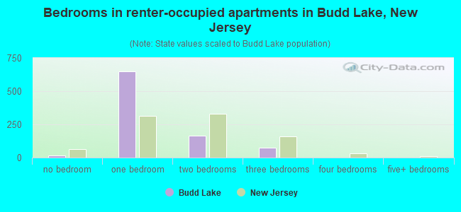 Bedrooms in renter-occupied apartments in Budd Lake, New Jersey
