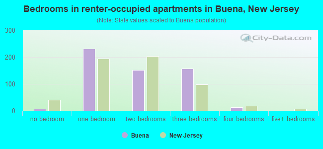 Bedrooms in renter-occupied apartments in Buena, New Jersey