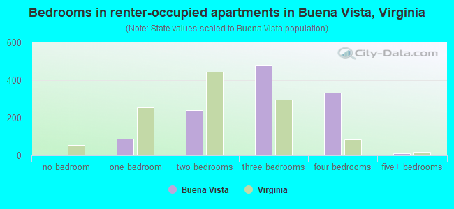 Bedrooms in renter-occupied apartments in Buena Vista, Virginia