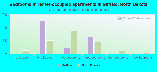 Bedrooms in renter-occupied apartments in Buffalo, North Dakota