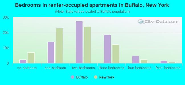 Bedrooms in renter-occupied apartments in Buffalo, New York