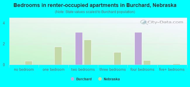 Bedrooms in renter-occupied apartments in Burchard, Nebraska