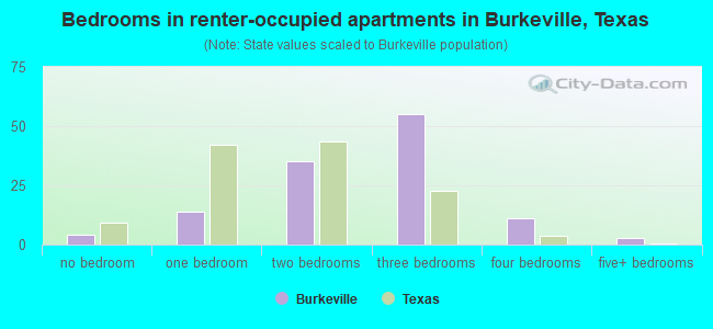 Bedrooms in renter-occupied apartments in Burkeville, Texas