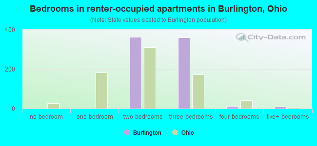 Bedrooms in renter-occupied apartments in Burlington, Ohio