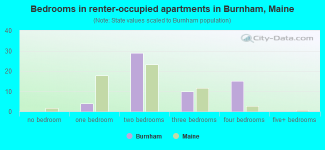Bedrooms in renter-occupied apartments in Burnham, Maine