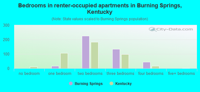 Bedrooms in renter-occupied apartments in Burning Springs, Kentucky
