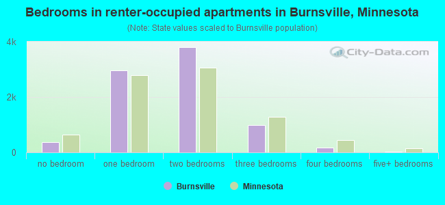 Bedrooms in renter-occupied apartments in Burnsville, Minnesota