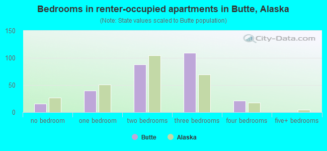 Bedrooms in renter-occupied apartments in Butte, Alaska