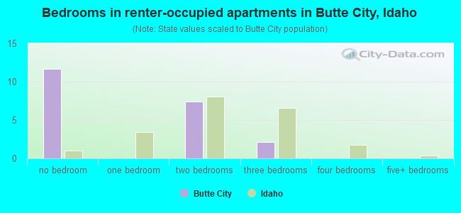 Bedrooms in renter-occupied apartments in Butte City, Idaho