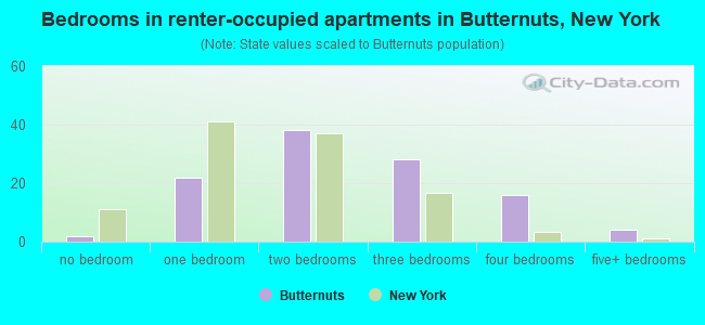 Bedrooms in renter-occupied apartments in Butternuts, New York
