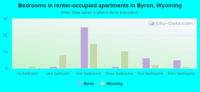 Bedrooms in renter-occupied apartments in Byron, Wyoming