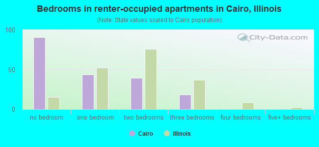 Bedrooms in renter-occupied apartments in Cairo, Illinois