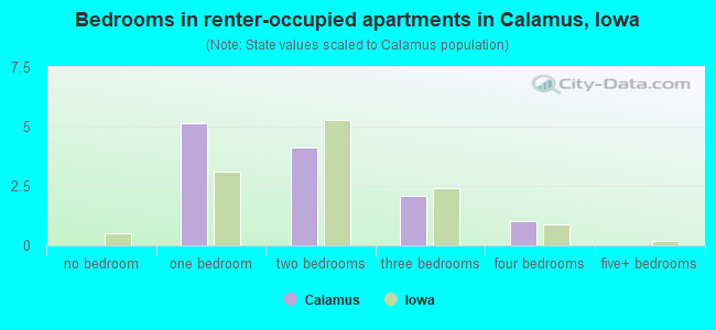 Bedrooms in renter-occupied apartments in Calamus, Iowa