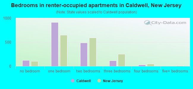Bedrooms in renter-occupied apartments in Caldwell, New Jersey