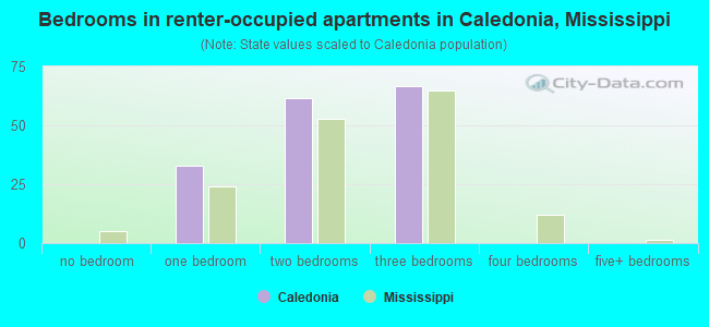 Bedrooms in renter-occupied apartments in Caledonia, Mississippi