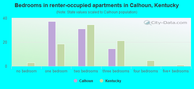 Bedrooms in renter-occupied apartments in Calhoun, Kentucky