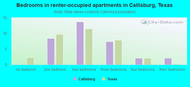 Bedrooms in renter-occupied apartments in Callisburg, Texas