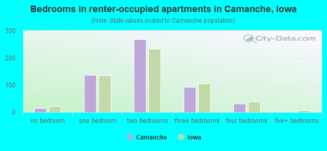Bedrooms in renter-occupied apartments in Camanche, Iowa