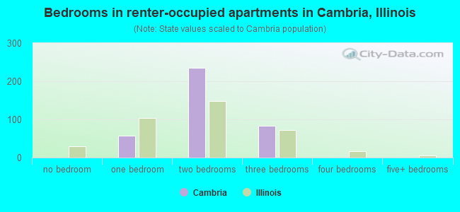 Bedrooms in renter-occupied apartments in Cambria, Illinois
