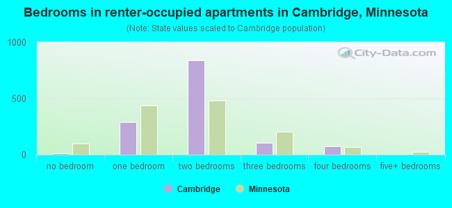 Bedrooms in renter-occupied apartments in Cambridge, Minnesota