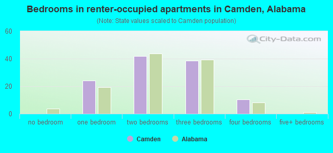 Bedrooms in renter-occupied apartments in Camden, Alabama
